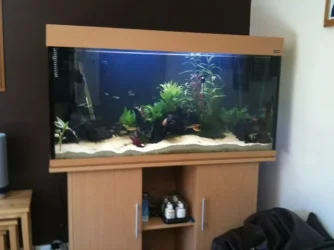 photo(3).webp