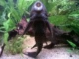 IMG00023-20100607-1927.jpg