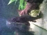 IMG00024-20100607-1927.webp