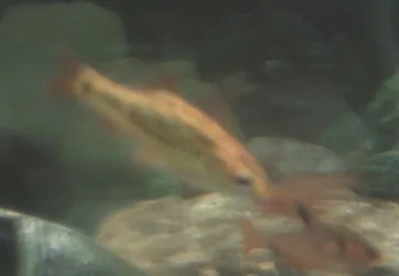 2011-07-09 19.11.42.webp