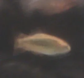 2011-07-09 19.12.05.webp