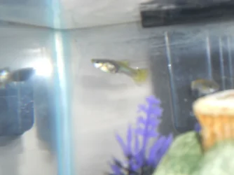 DSCN0956.webp