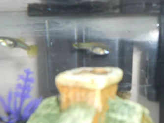 DSCN0957.webp