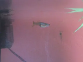 DSCN1002.webp
