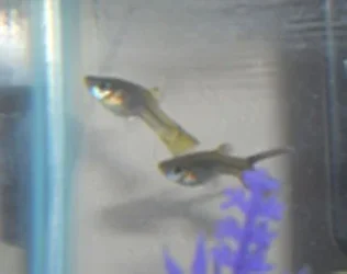 DSCN0953.webp