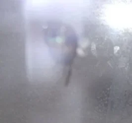 DSCF0288.webp