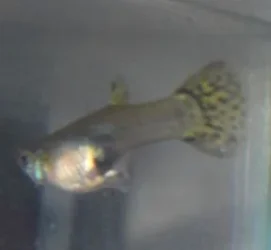 DSCF0289.webp