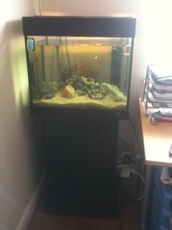 90L Jewel.jpg 90L Jewel.jpg