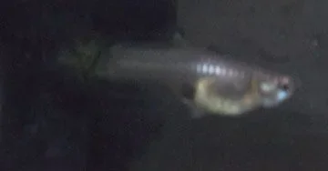DSCF0345.webp