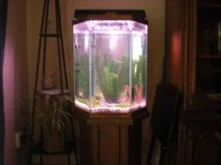 DSCN2260.webp