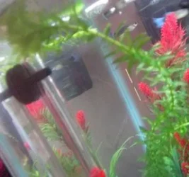 DSCF0354.webp