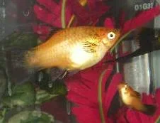 DSCN2334.webp