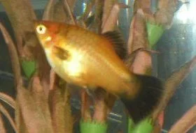 DSCN2323.webp