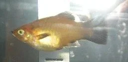 DSCN2322.webp