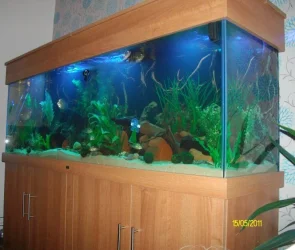 Sany2469.webp