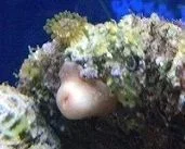 DSCN0872.webp