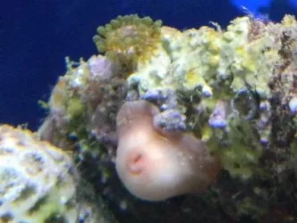 DSCN0879.webp