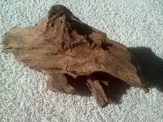wood 002edited.webp