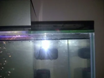 IMG-20110726-00047.webp