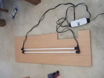 DSCF6496.webp