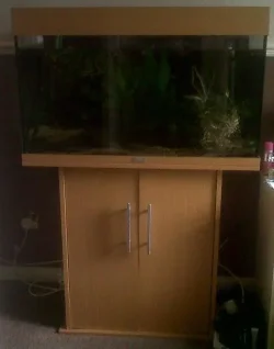 tank.webp
