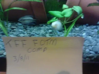 2011-08-5.webp