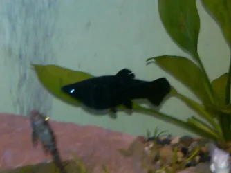IMG-20110804-00189.webp