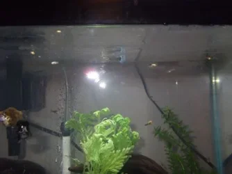 DSCF0388.webp