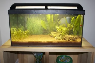 latestTank.webp