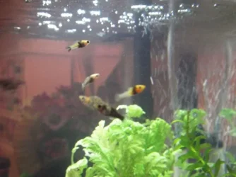 DSCF0406.webp