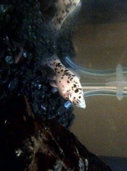 IMG-20110812-00011.jpg IMG-20110812-00011.jpg