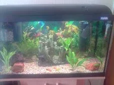 P160811_14.1001.webp