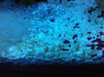 IMG-20110818-00153.webp