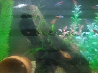 2011-08-17 18.59.58.webp