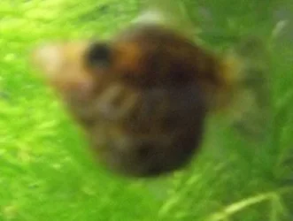 DSCF0414.webp