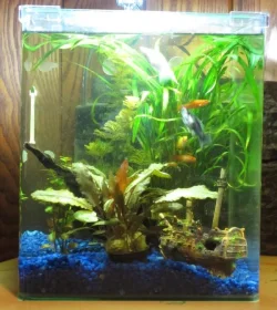 TANK_08_11_2.webp TANK_08_11_2.webp