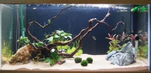 small tank.webp