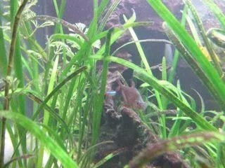 DSCF6595.webp