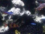 0830011851.webp