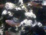 0830011850.webp
