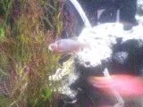 0830011853.webp