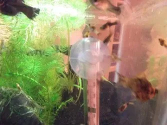 DSCF0464.webp