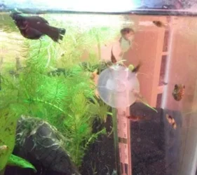 DSCF0465.webp