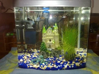 tank 1.webp