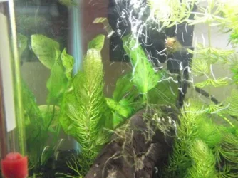 DSCF0527.webp