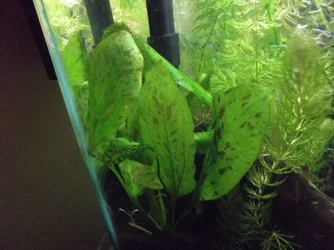 DSCF0528.webp