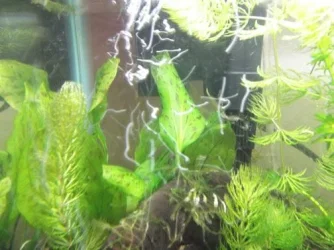 DSCF0529.webp