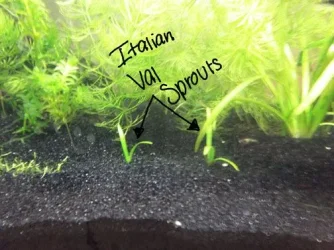DSCF0530.webp