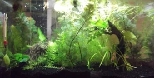 DSCF0545.webp