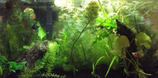 DSCF0559.webp